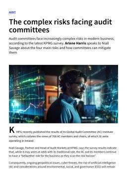 The complex risks facing audit committees