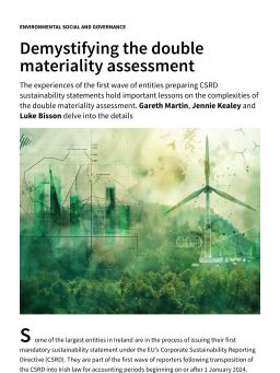 Demystifying the double materiality assessment