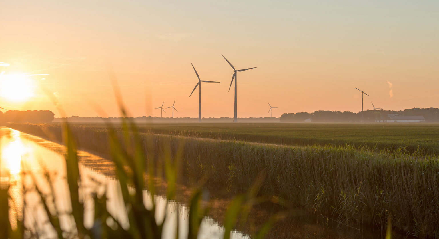Wind energy farm in a field
