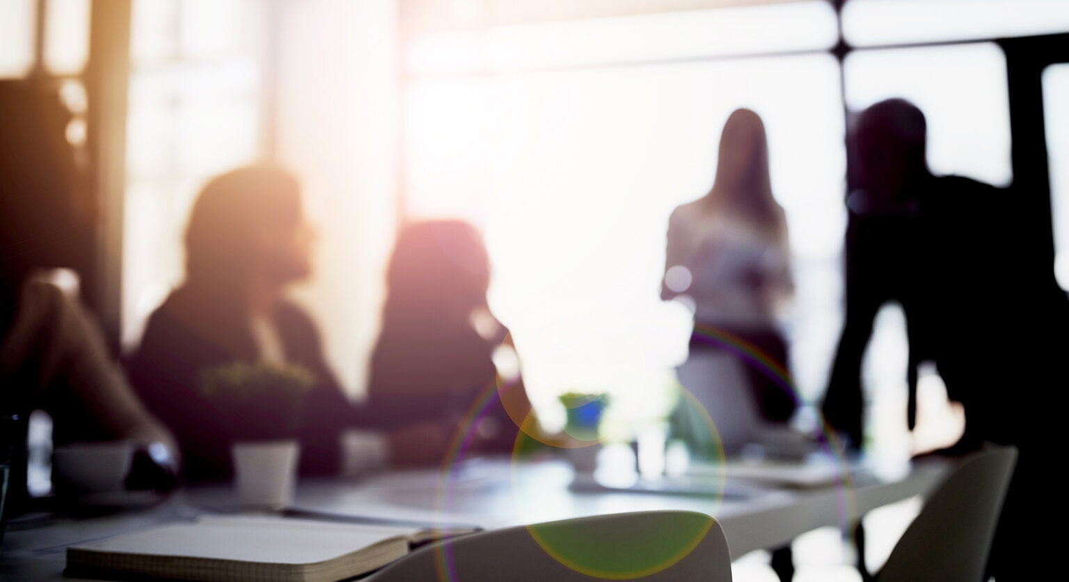 Several women around a boardroom table